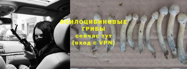 дурь Белокуриха