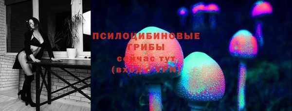 дурь Белокуриха
