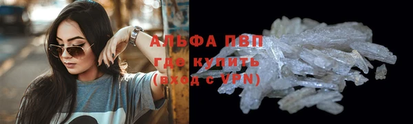 прущие грибы Белоозёрский
