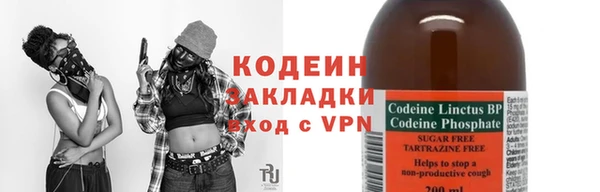 прущие грибы Белоозёрский