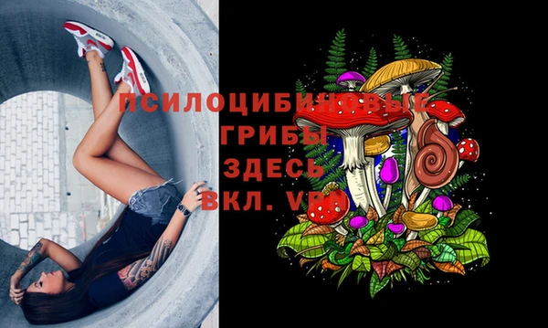 прущие грибы Белоозёрский