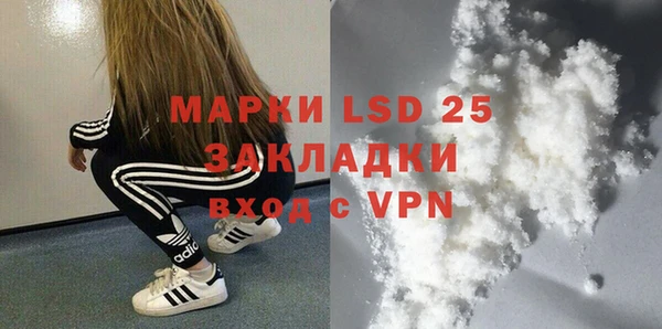 прущие грибы Белоозёрский